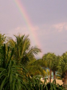 Jamaican Rainbow: Steve Piscitelli