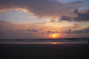 Photo by Steve Piscitelli