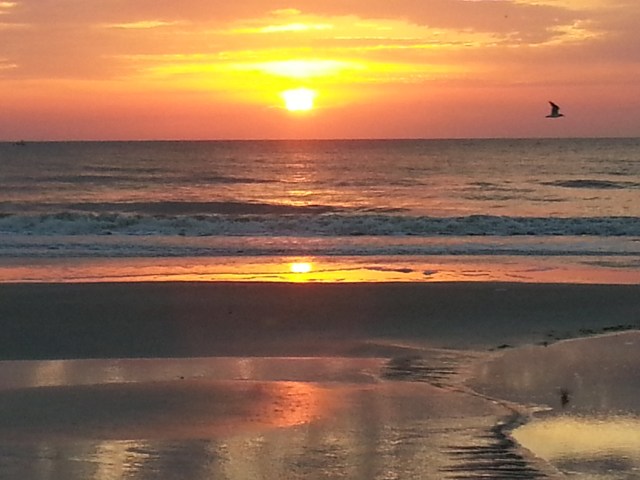 Image: Steve Piscitelli