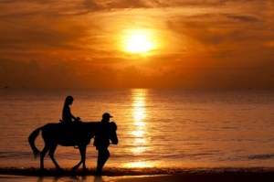 Image: sheelamohan/FreeDigitalPhotos.net