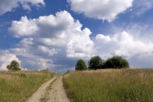 Image: dan/FreeDigitalPhotos.net