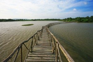 Image: pisitphoto@FreeDigitalPhots.com