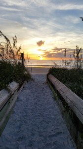 Photo by Steve Piscitelli