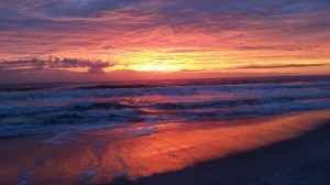 Photo by Steve Piscitelli