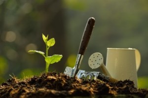 Image: amenic181 @ FreeDigitalPhotos.net