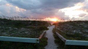 Photo (c) Steve Piscitelli