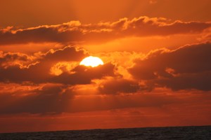 Photo by Steve Piscitelli (c)