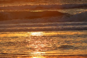 Photo by Steve Piscitelli (c)