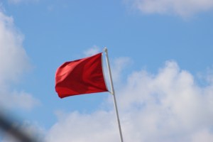 Photo (c) Steve Piscitelli