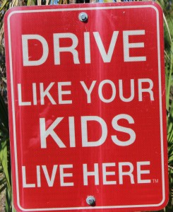 Photo by Steve Piscitelli