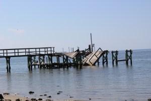 Photo (c) Steve Piscitelli