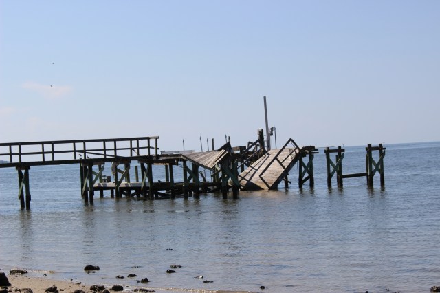 Photo (c) Steve Piscitelli