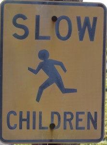 Photo by Steve Piscitelli