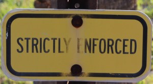 Photo by Steve Piscitelli