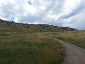 Photo (c) Steve Piscitelli