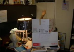 Photo (c) Steve Piscitelli.